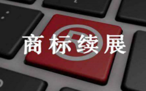 服装商标三年未使用被撤销，如何提交使用证据?