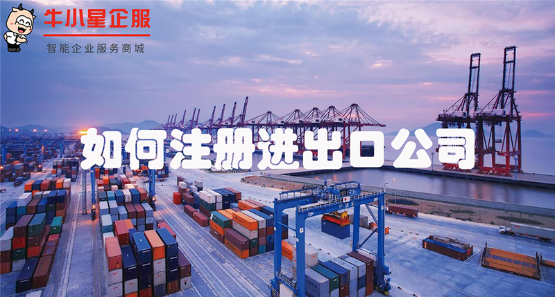 如何注册进出口公司