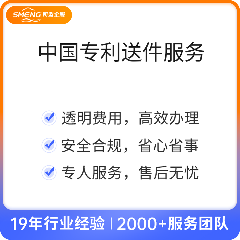 中国专利驳回复审（仅代送件）