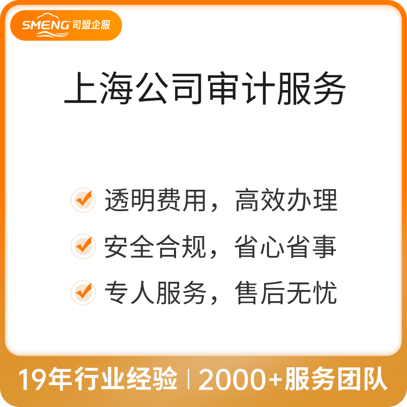 上海公司审计服务（高新专项审计2500万）