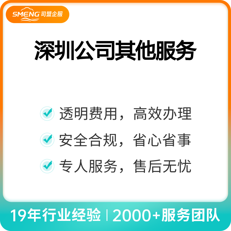 深圳公司其他服务（账务明细登记（300笔以下/月））