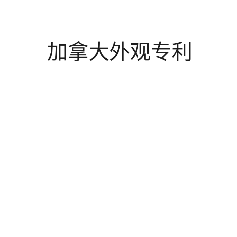 加拿大外观专利加拿大专利外观专利（申请+实审）