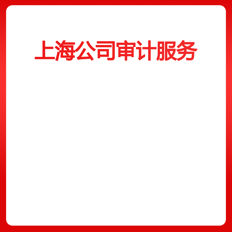 上海公司审计服务（高新专项审计2500万）