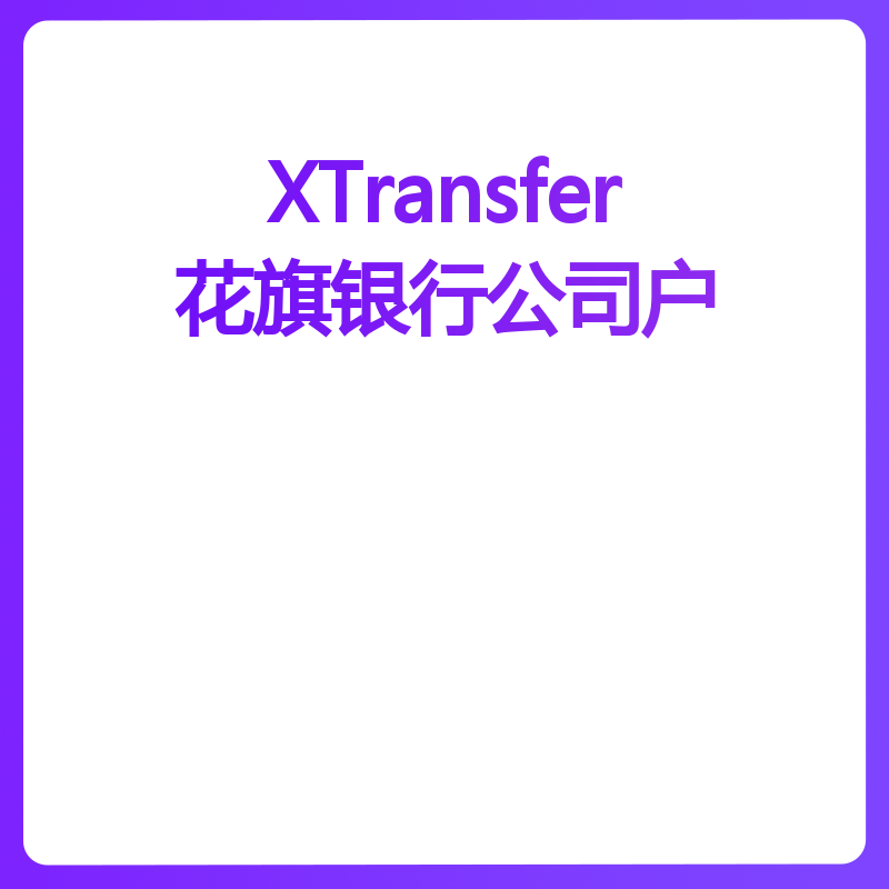 XTransfer花旗银行公司户（默认）