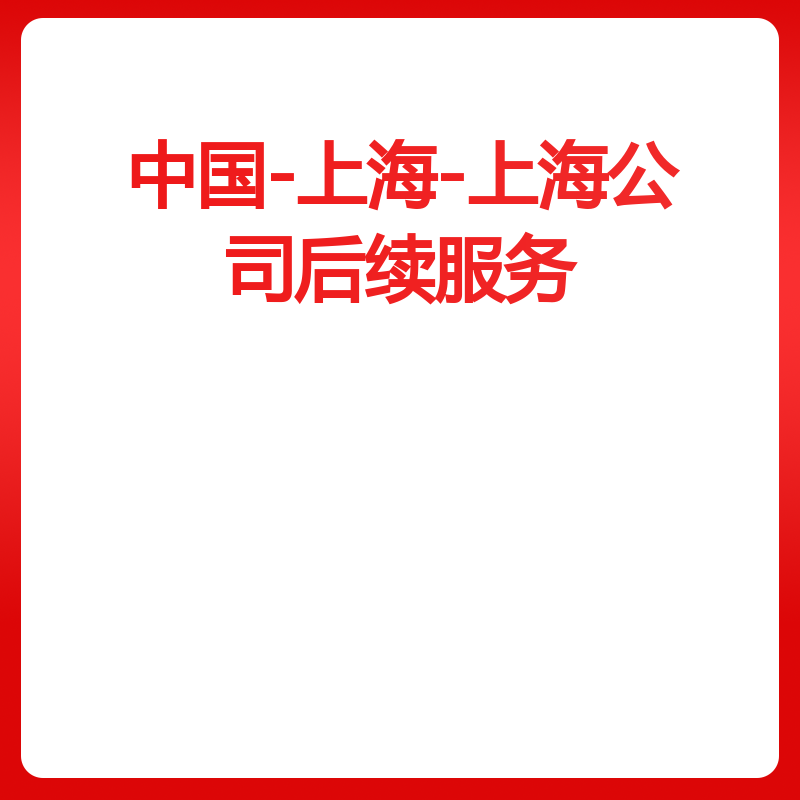 中国-上海-上海公司后续服务（配合年报抽查）