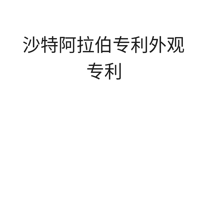 沙特阿拉伯专利外观专利（第1-2年年费/每年个人申请）