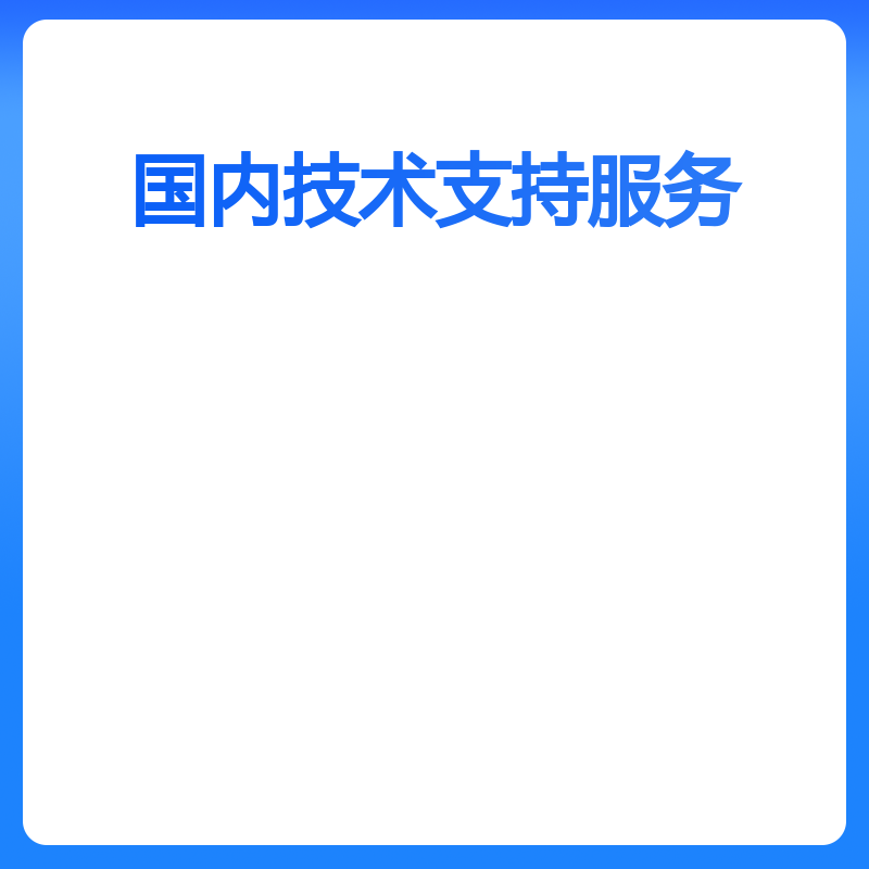 国内技术支持服务(国内技术支持服务（每天）)