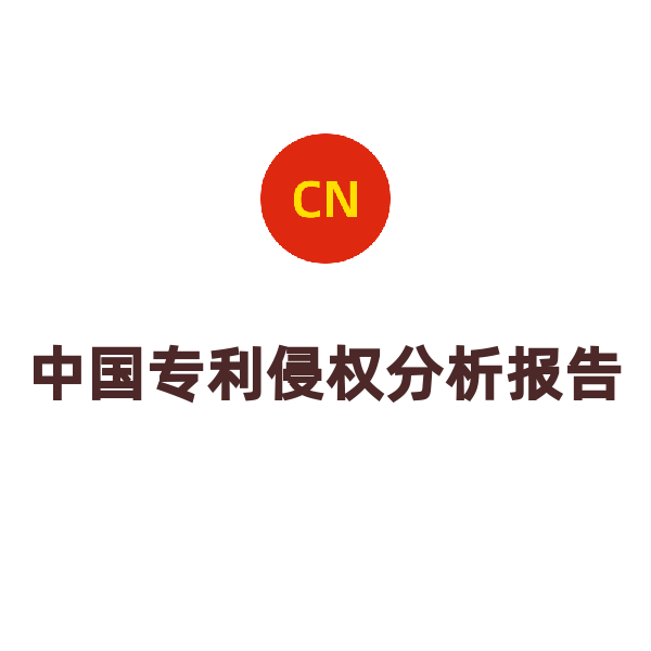 中國專利侵權(quán)分析報告（侵權(quán)對比分析（完整版））