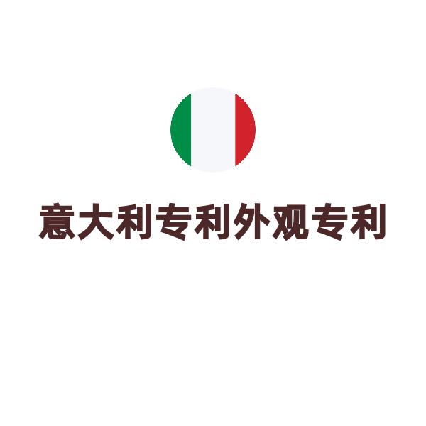意大利外观专利申请（申请）