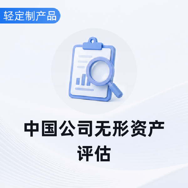 中国公司无形资产评估