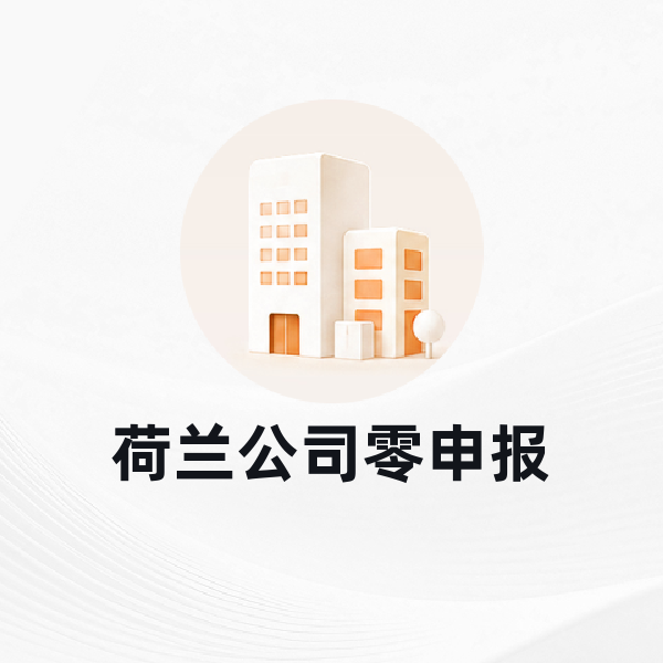 荷兰公司零申报