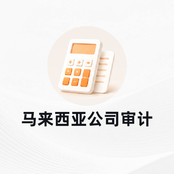 马来西亚公司审计