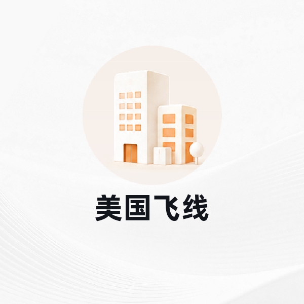 美国飞线