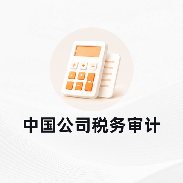 中国公司税务审计