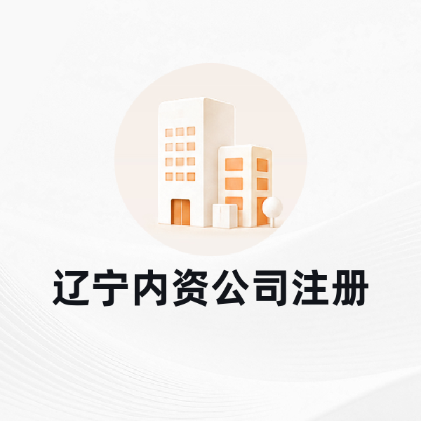 辽宁内资公司注册