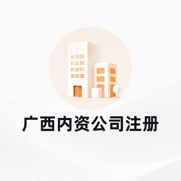 广西内资公司注册