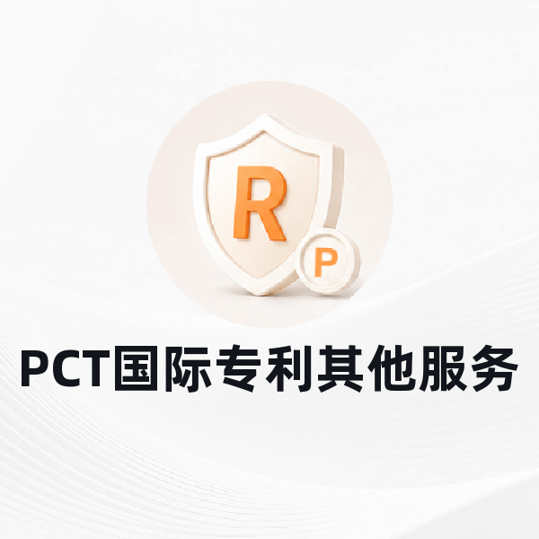 PCT国际专利其他服务