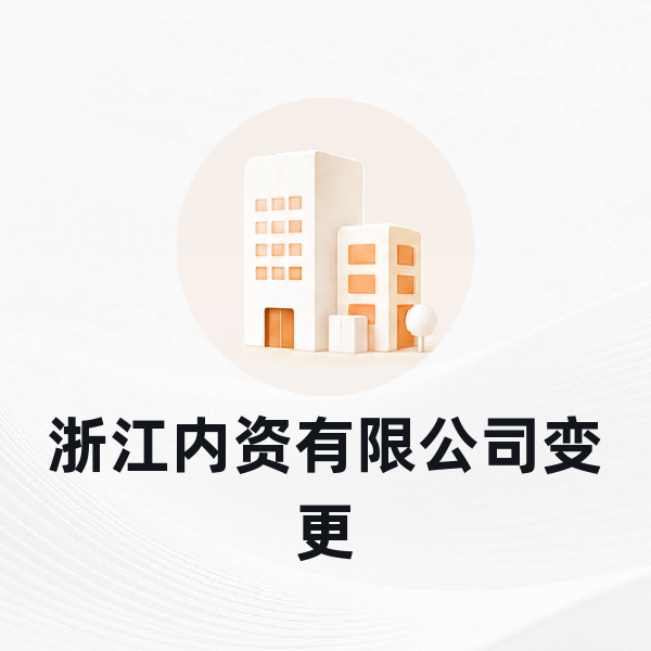 浙江内资有限公司变更