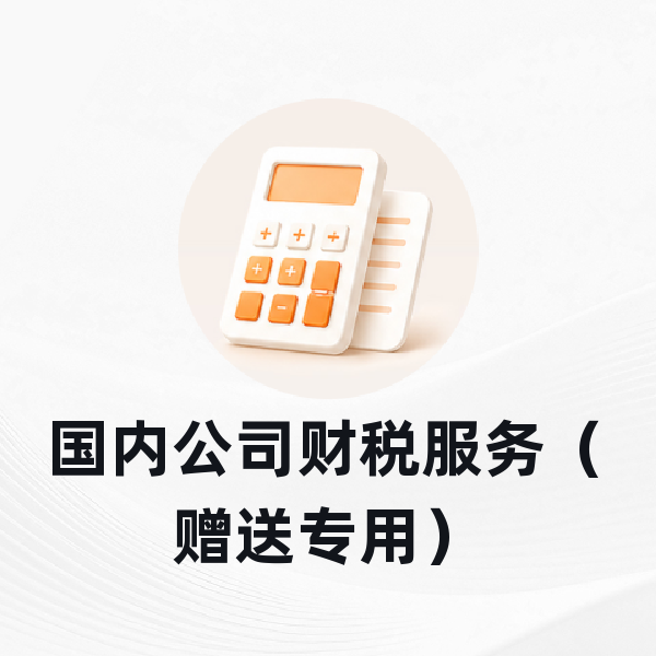 国内公司财税服务（赠送专用）
