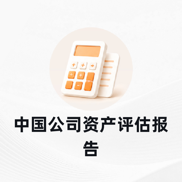 中国公司资产评估报告