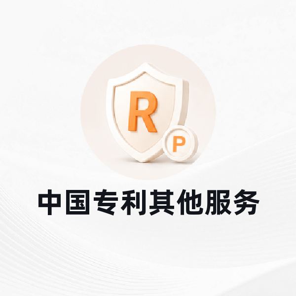中国专利其他服务