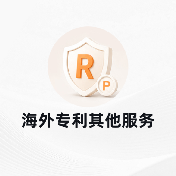 海外专利其他服务