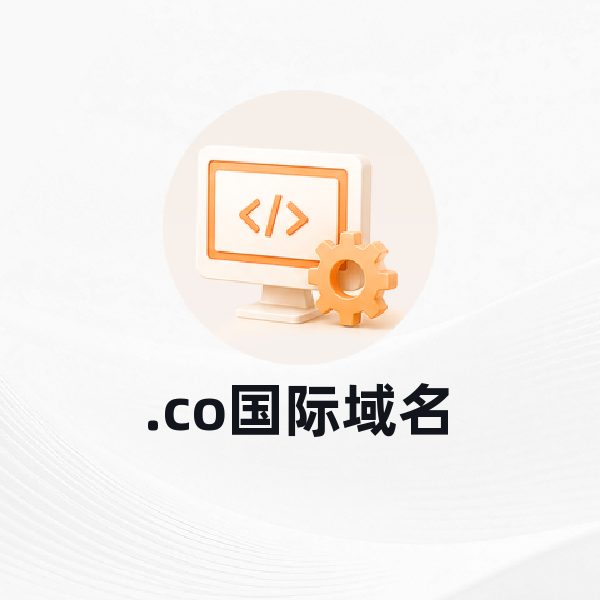 .co国际域名