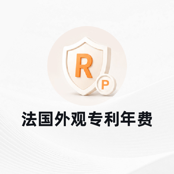 法国外观专利年费
