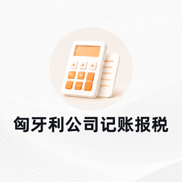 匈牙利公司记账报税