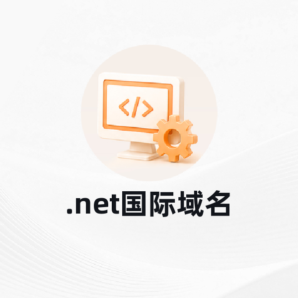 .net国际域名