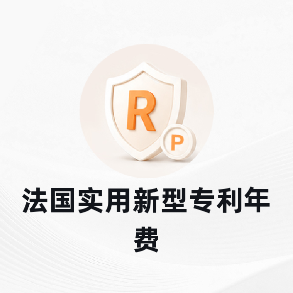 法国实用新型专利年费
