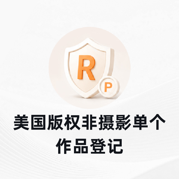 美国版权非摄影单个作品登记