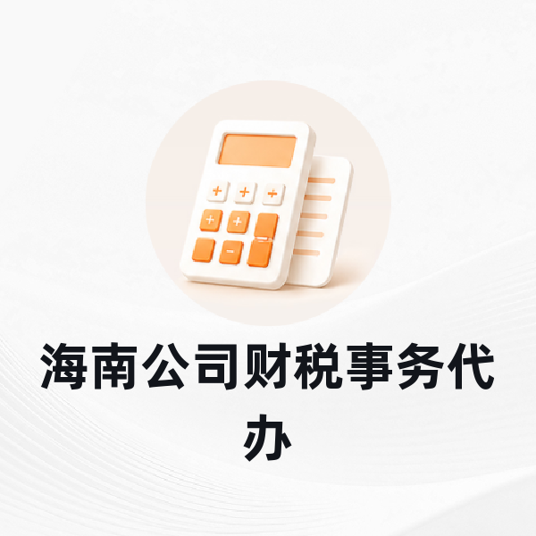 海南公司财税事务代办