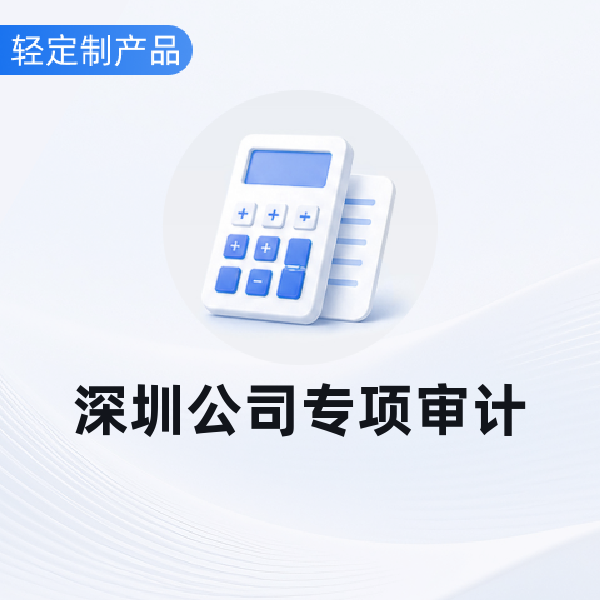 深圳公司其他专项审计