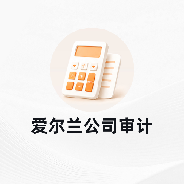 爱尔兰公司审计