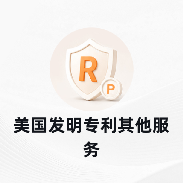美国发明专利其他服务