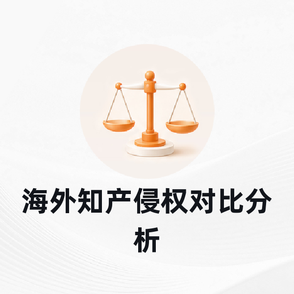海外知产侵权对比分析