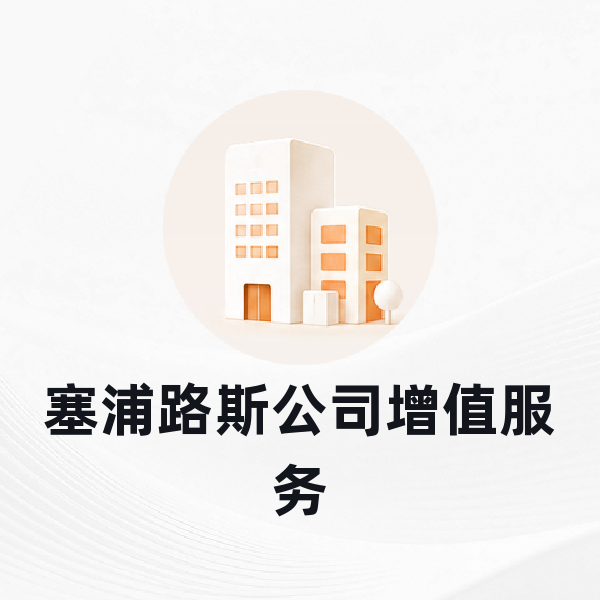 塞浦路斯公司增值服务