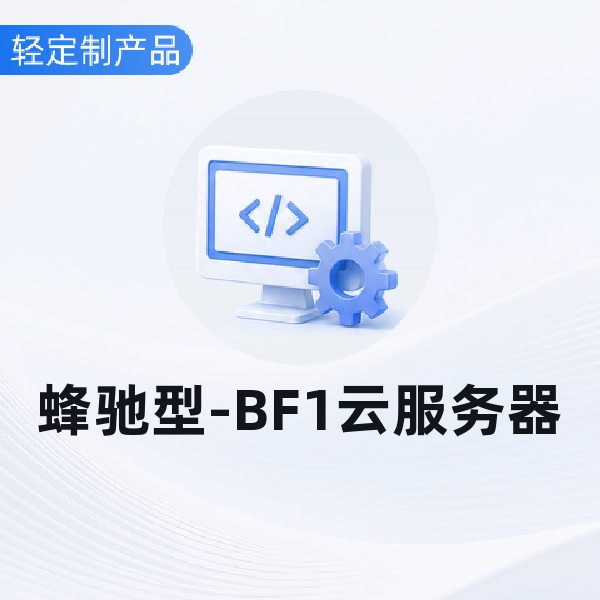 蜂驰型-BF1云服务器