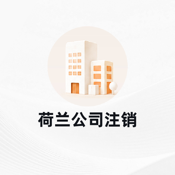 荷兰公司注销