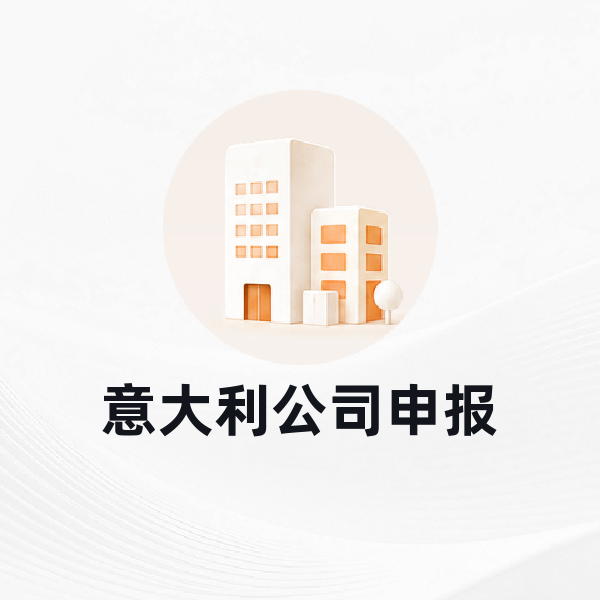 意大利公司申报