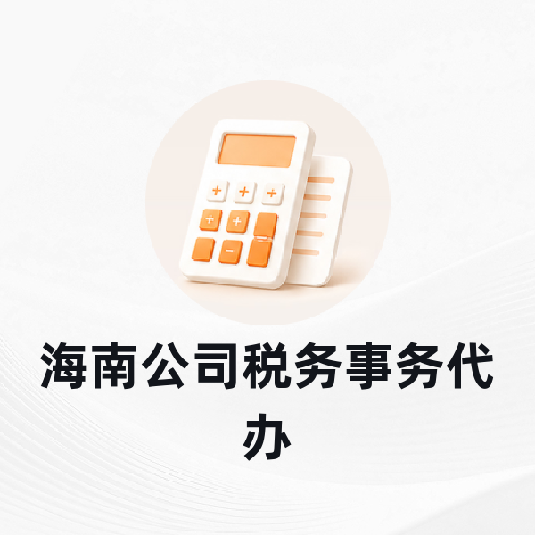 海南公司税务事务代办