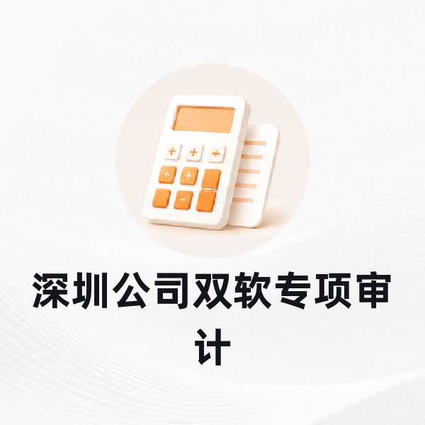 深圳公司双软专项审计