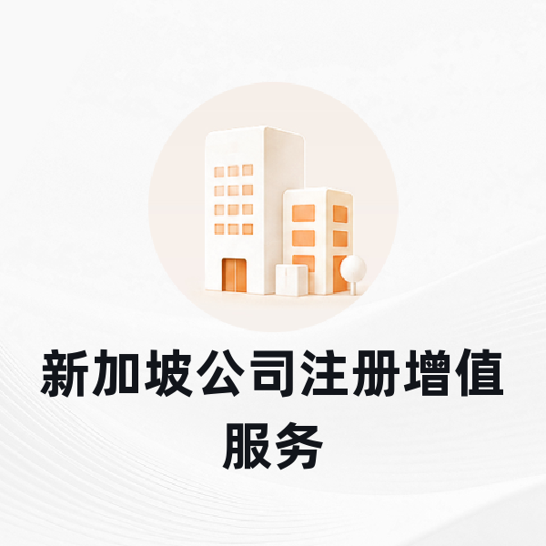 新加坡公司注册增值服务