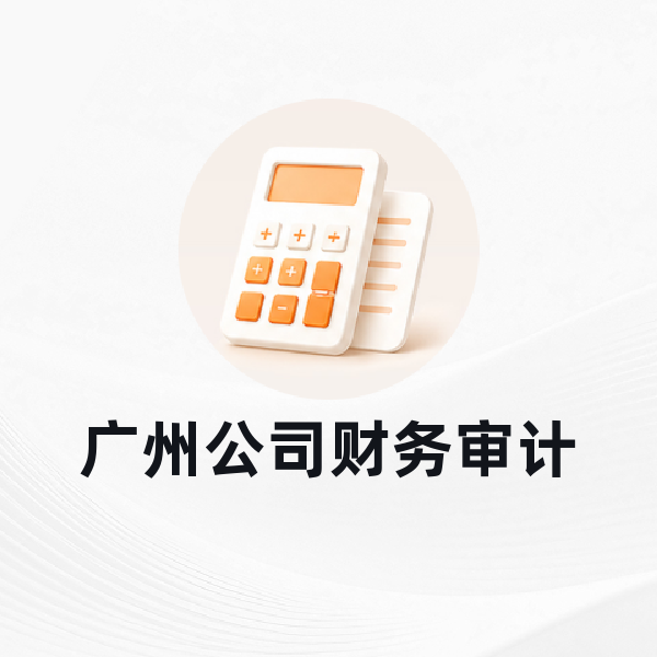 广州公司审计报告
