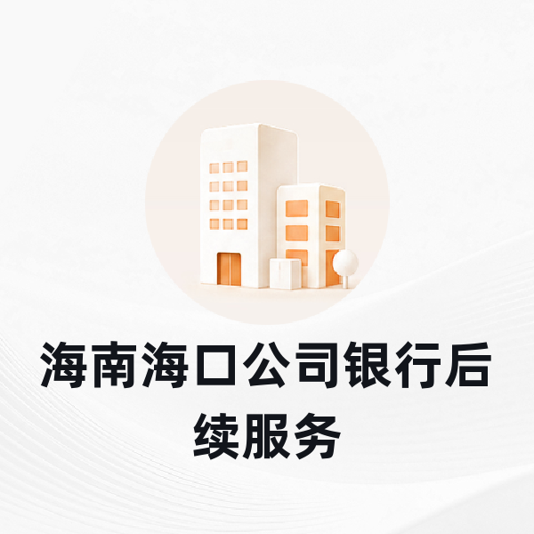 海南海口公司银行后续服务