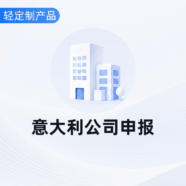 意大利公司申报