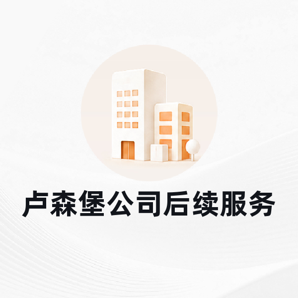卢森堡公司后续服务