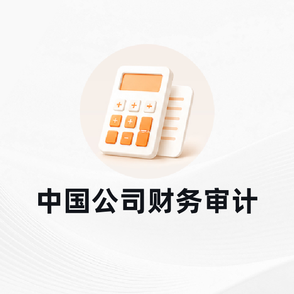 中国公司财务审计