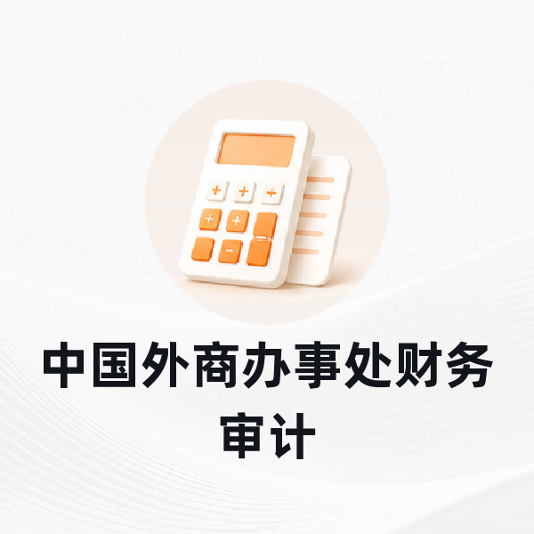 中国外商办事处财务审计